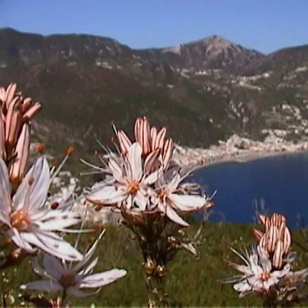 Casaeolia X7 Centrale Lipari